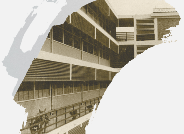 Image 11: Image alt text